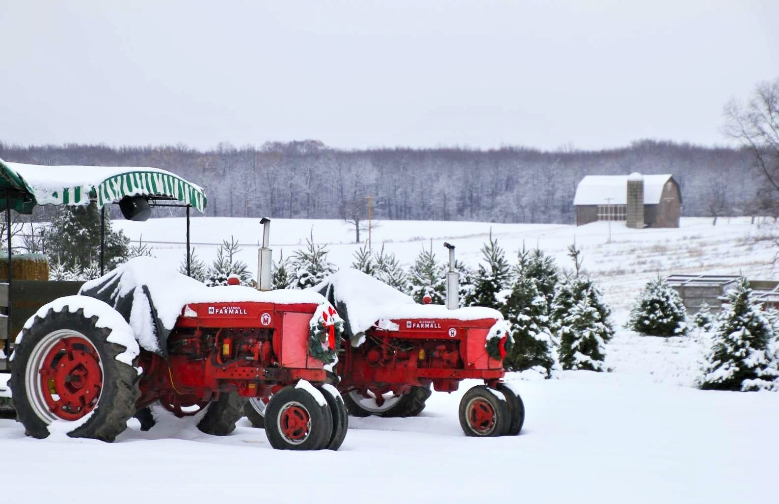 Two snow covered red tractors parked in a snowy lot