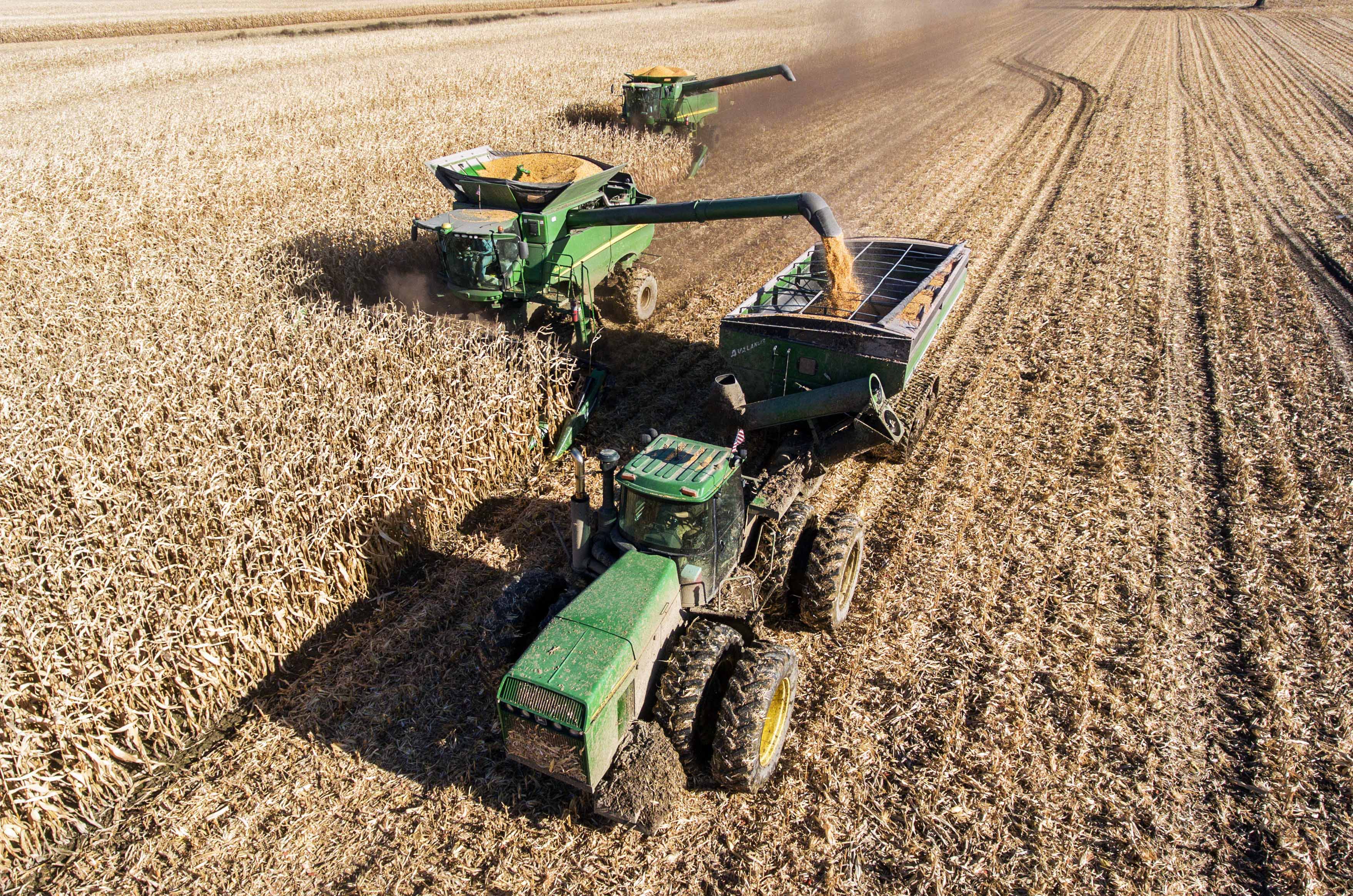 Green tractor harvesting crop