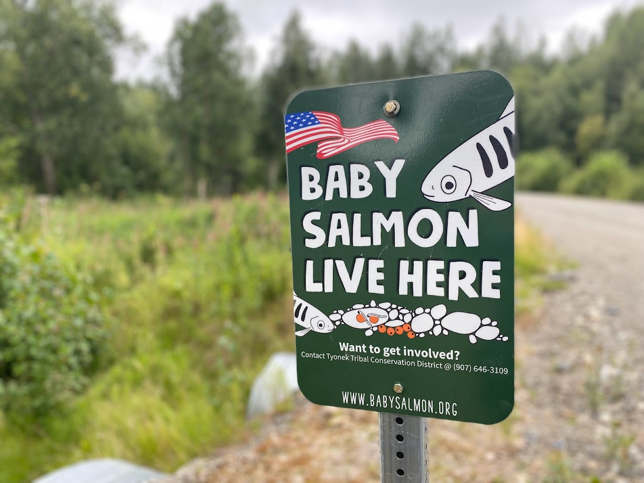 Sign with "Baby Salmon Living Here" written on it