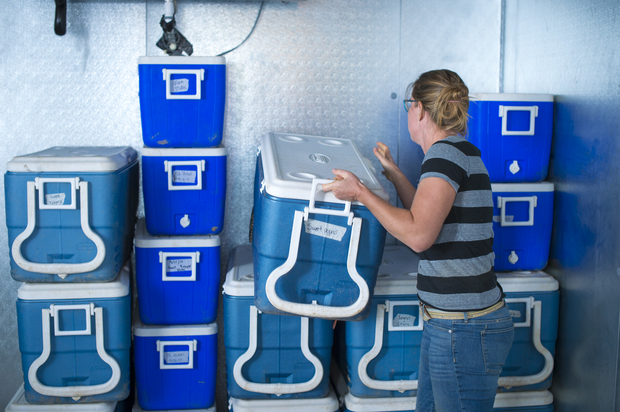 Person stacking blue and white coolers in cold storage room