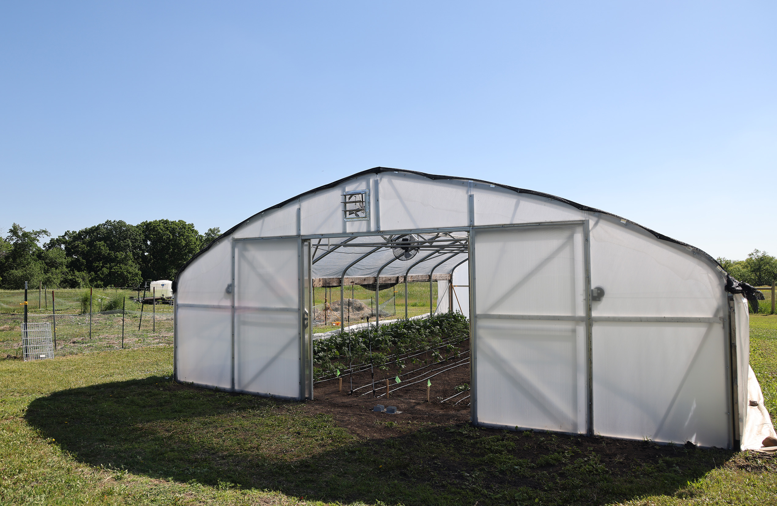 High tunnel with crops inside