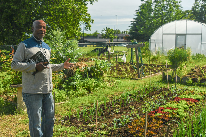 Person standing in garden