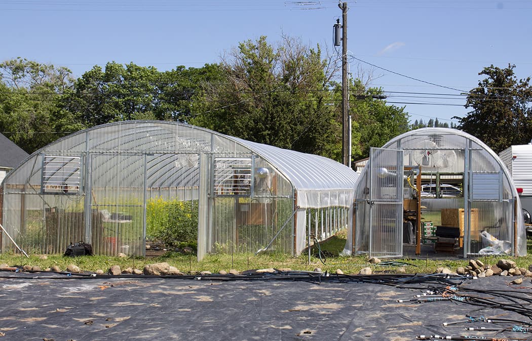 Two high tunnels