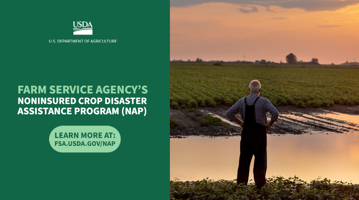 USDA Simplifies Application Process for Noninsured Crops for Underserved Producers; Improves