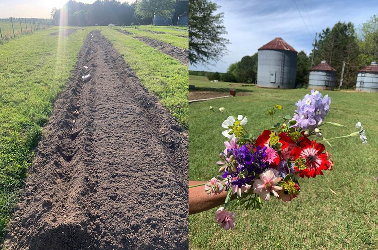 plowed field and flower bouquet