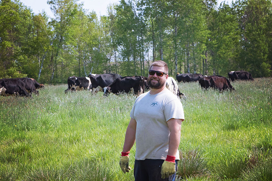 Person standing in front of cattle on lush green grass