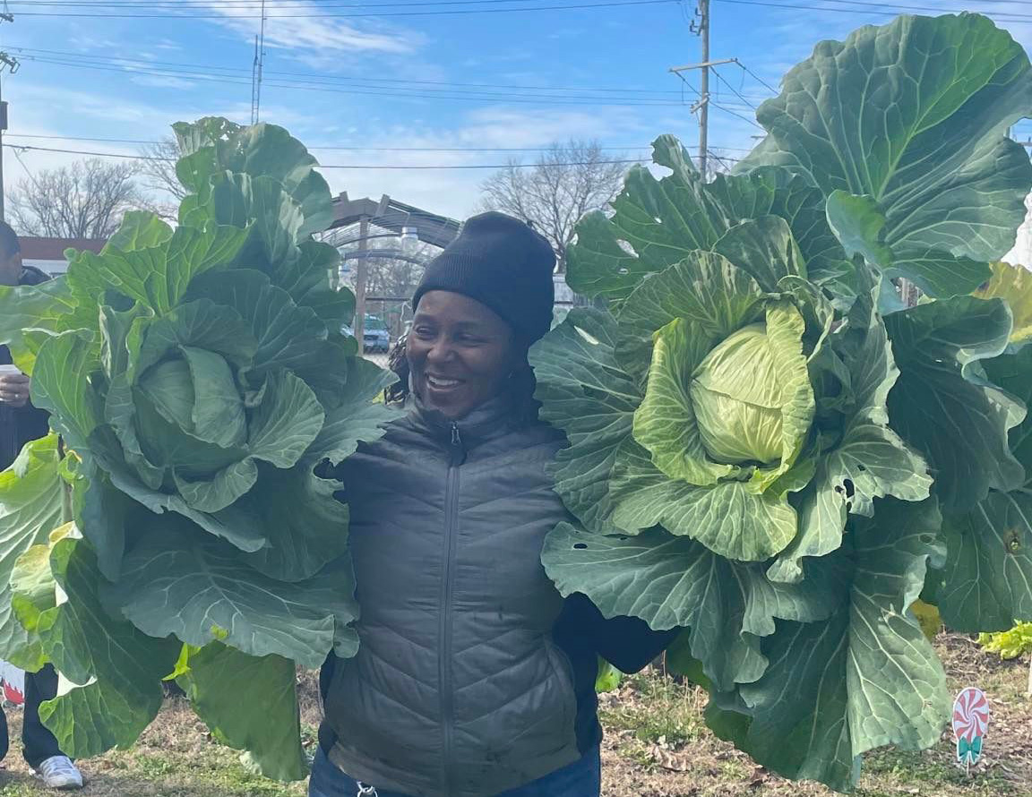 Person holding huge cabbages, one in each hand