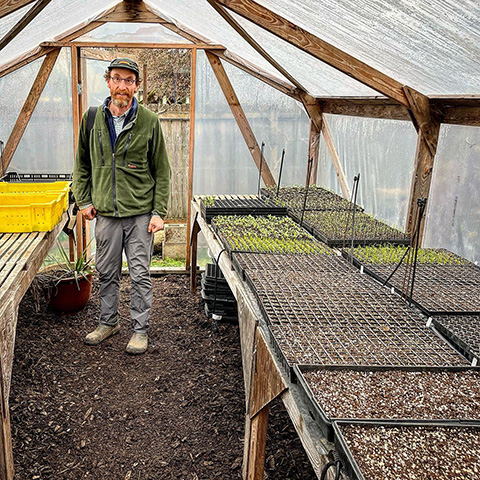 Person standing in greenhouse amongst various seedlings
