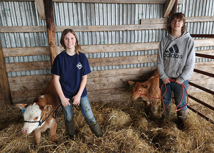 Two people standing in barn staff with two baby cows