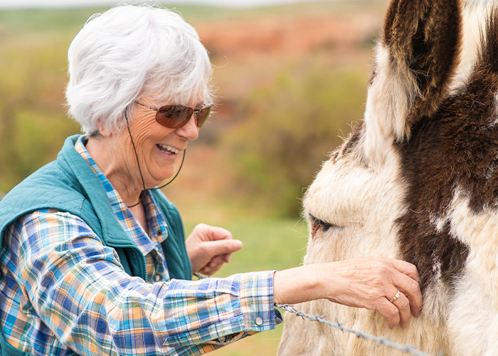 PErson petting cow