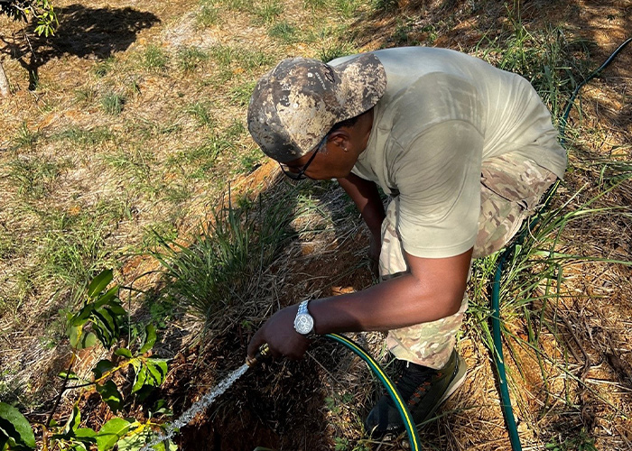 Person kneeling while watering plants