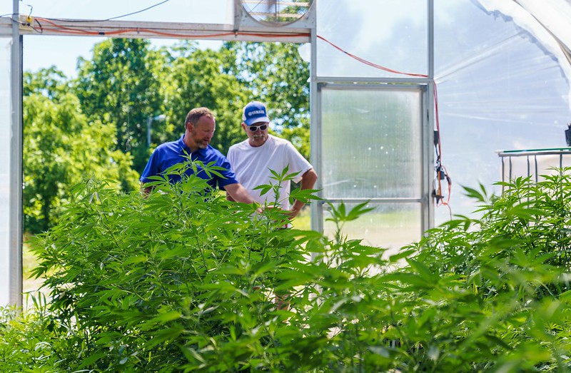 Jeff (right) gives Indiana NRCS district conservationist Lee Schnell a tour of Papa G’s Organic Hemp Farm. Photo by Brandon O’Connor, USDA.
