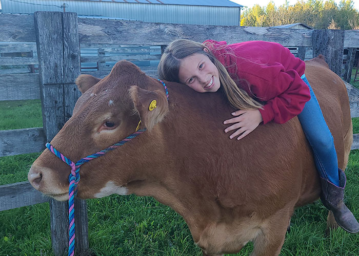 Person sitting on cow