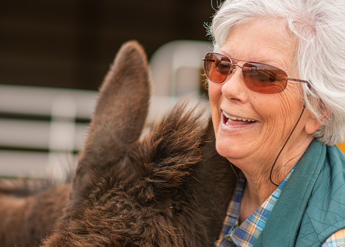 Person hugging brown cow