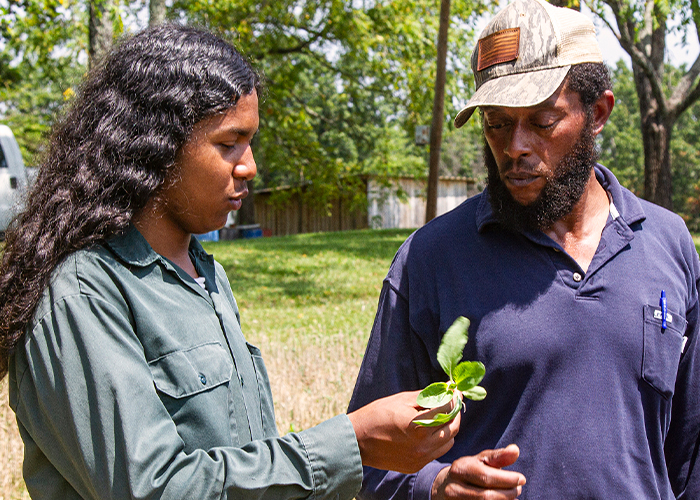 Two people examining a plant