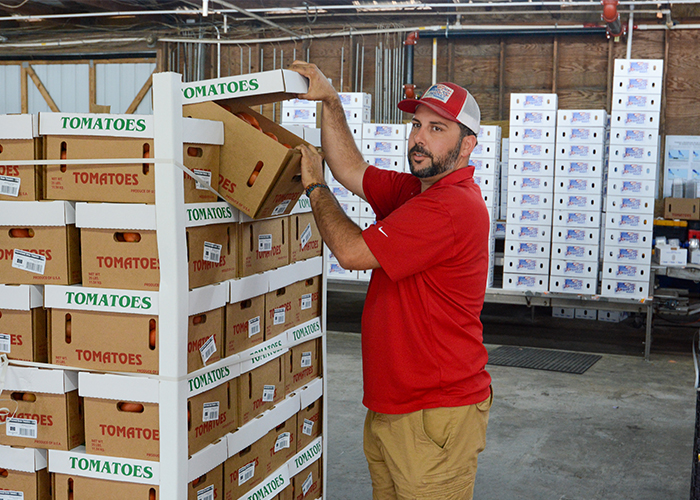 Person looking inside stacked boxes