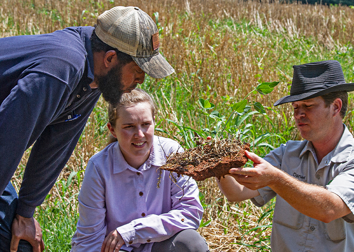 Three people looking at soil sample