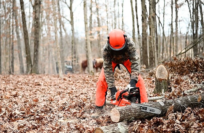 Person using chainsaw to cut log