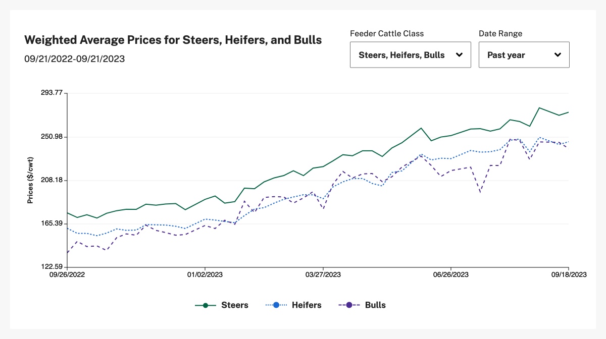 feeder cattle chart