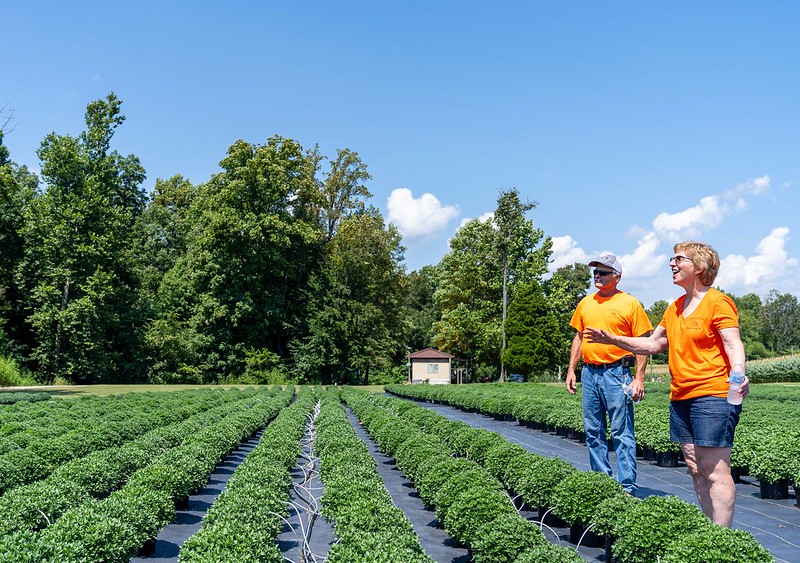 Two people standing among rows of growing plants