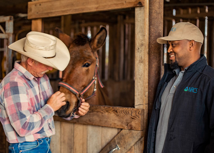 Two people in stable standing next to a horse