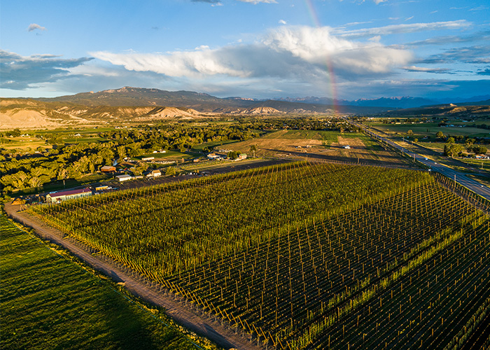 Aerial view of farm