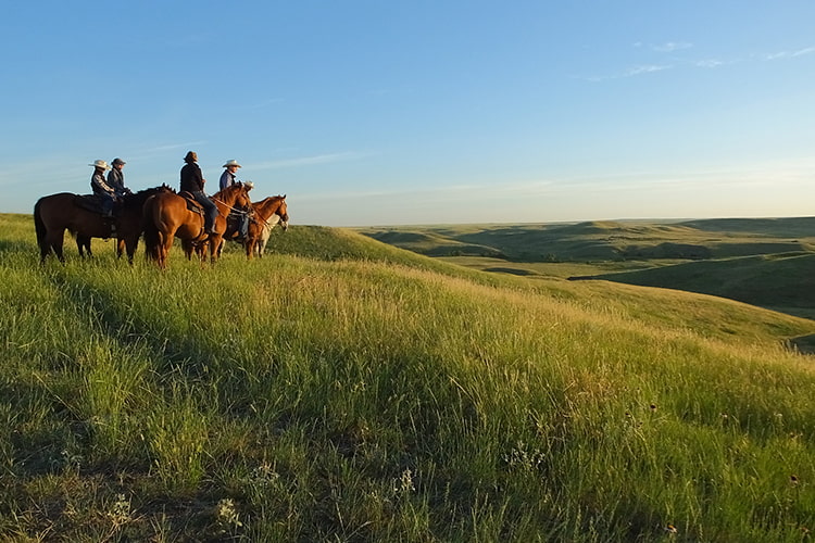 four people on horses on rolling grassland