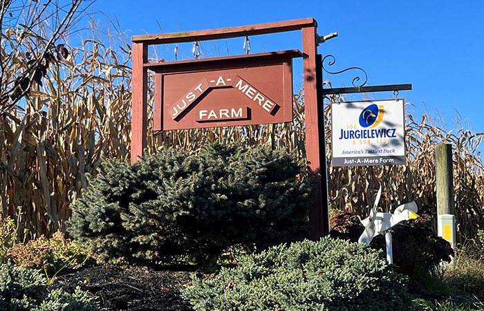 Sign in field