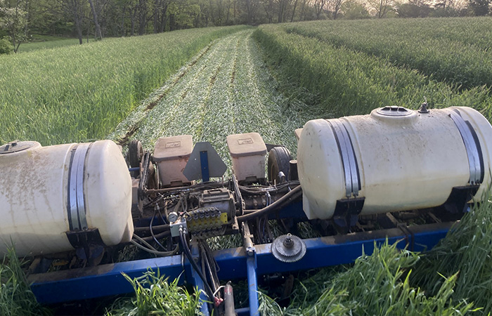 Seeding machine in field