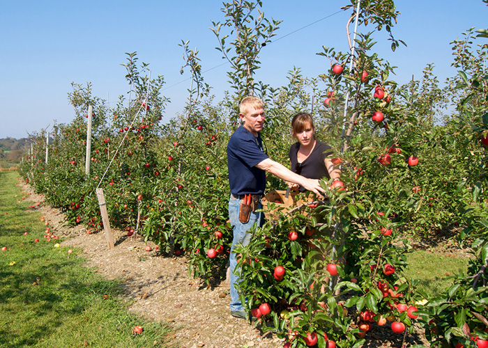 Jan and Michelle Eckhart, owners and operators of Sweet Berry Farm in Middletown, Rhode Island. Photo courtesy of Sweet Berry Farm.