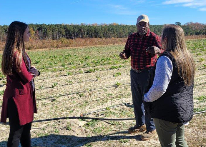 Three people standing in field