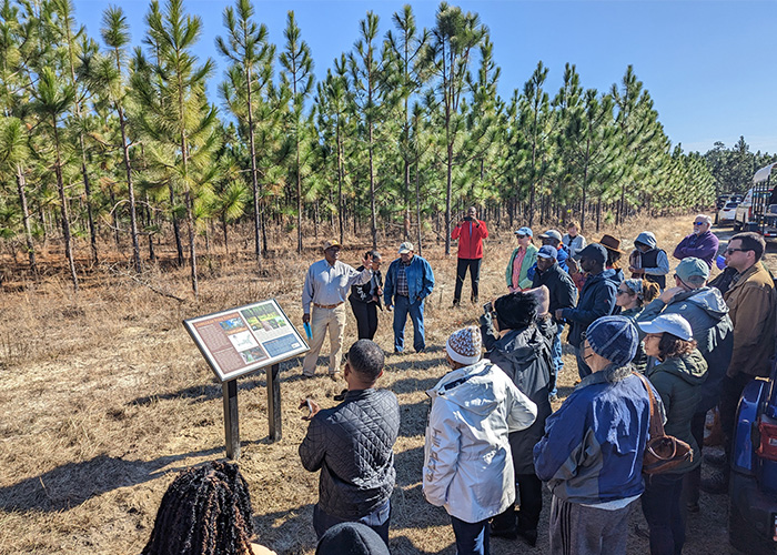 People listening to a lecture in a tree grove