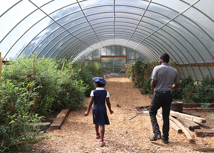 Two people walking in high tunnel