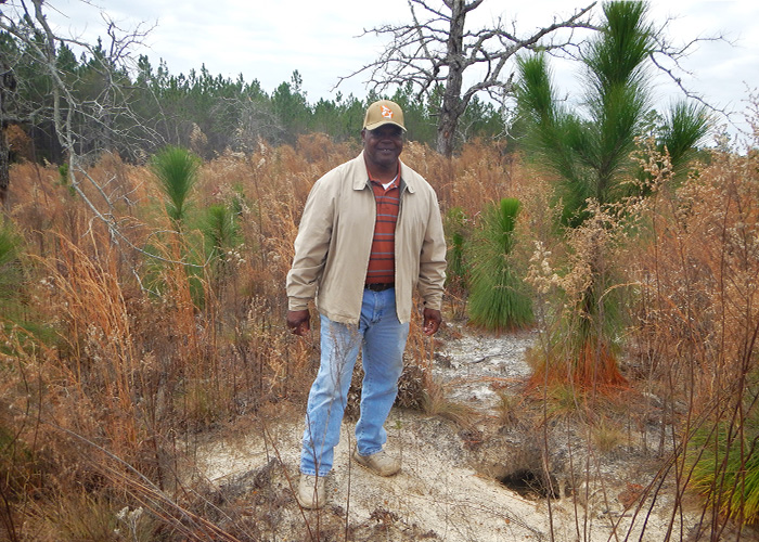 Person staning in grassy woods