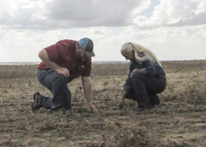 Two people inspecting soil