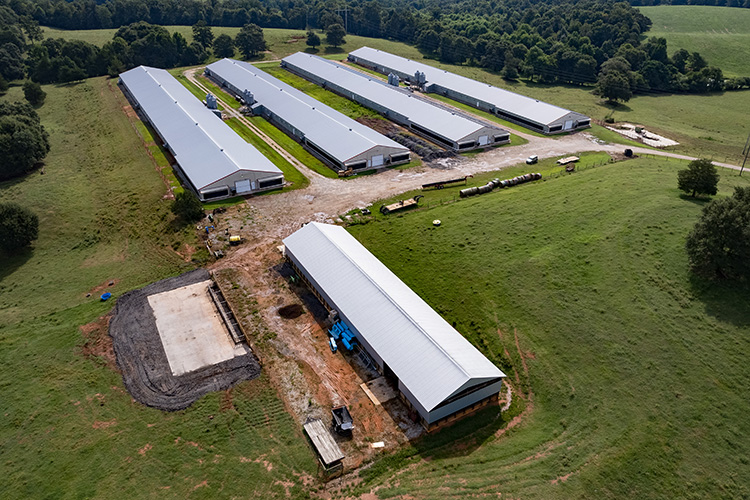 Five building in a field