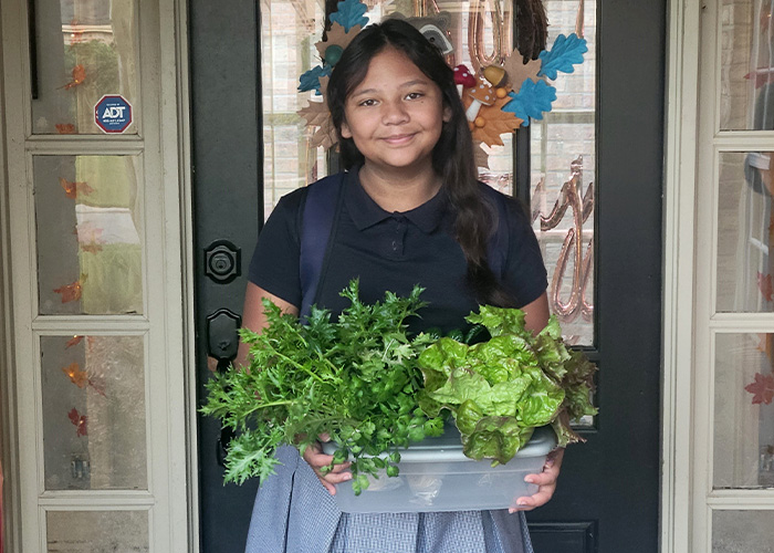 Person holding box full of lettuce