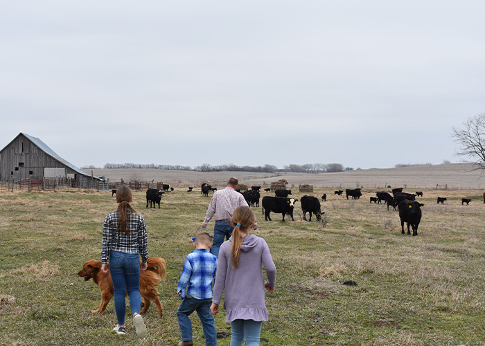 Four people and a dog walking in a field amongst cattle