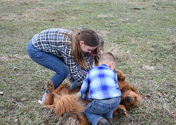 Three people tickling a dog