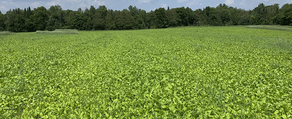 Inflation Reduction Act in Action: Funding Drives Climate Change Mitigation and Resiliency on Maine Potato Farm 