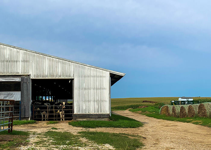 Barn next to dirt driveway
