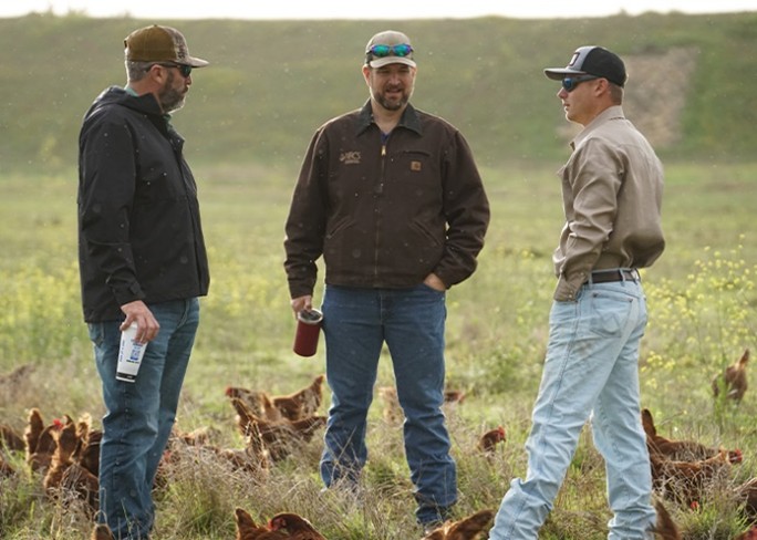 Three people standing in a pasture