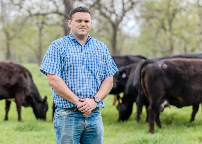 Person standing near cattle