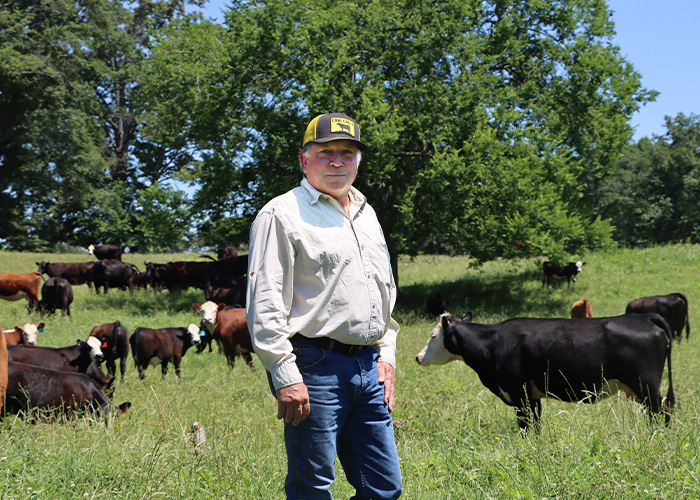 Person standing in a pasture