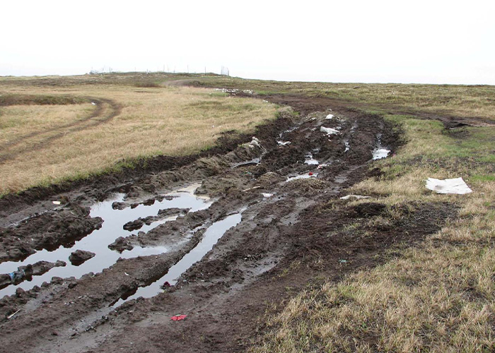 Muddy vehicle tracks in a field