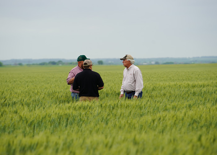 Three people standing in a field