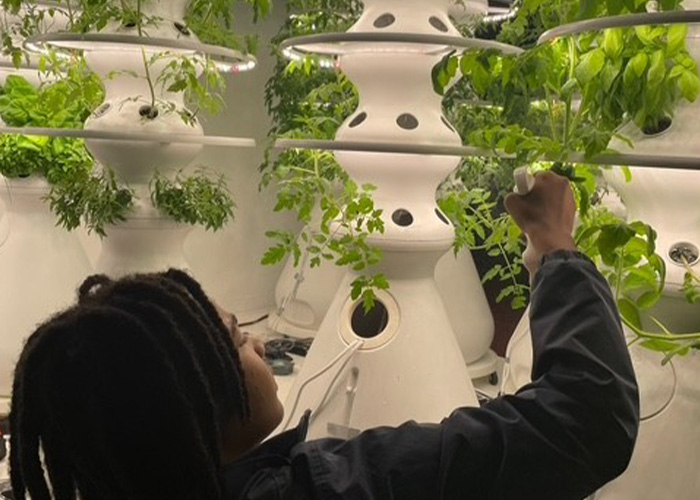 Person looking at plants