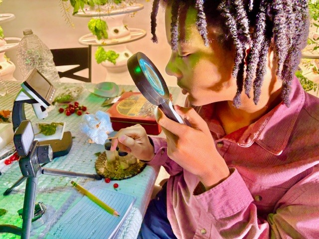 Person looks at plants through magnifying glass