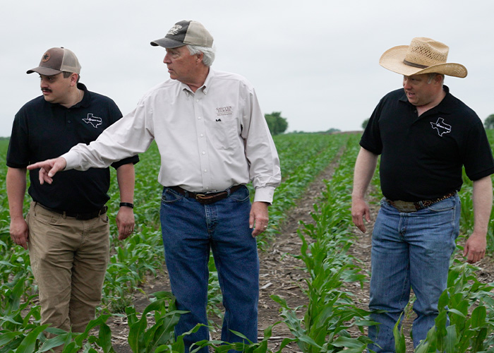 Three people walking through row of crops