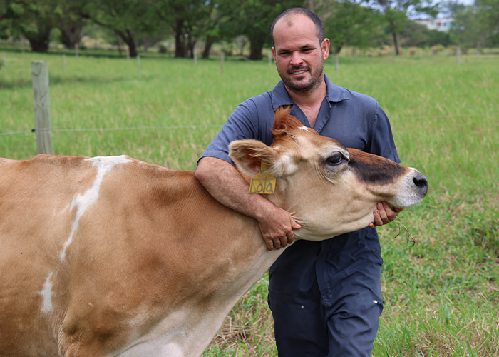 Person hugging a cow